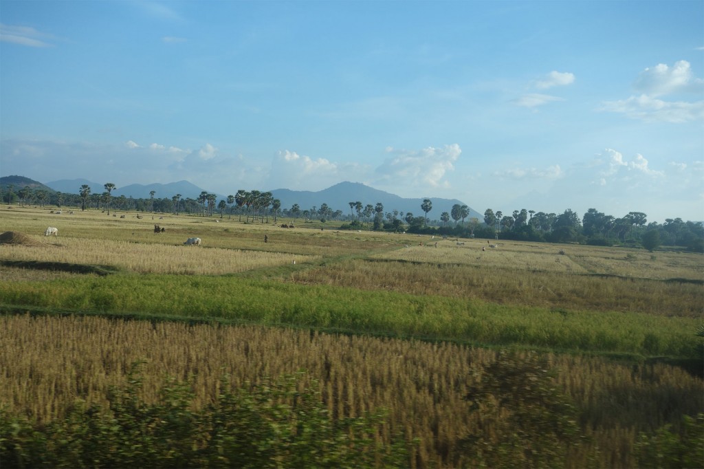 Campagne cambodgienne